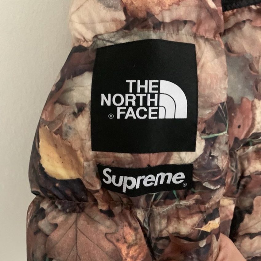 Supreme x The North Face Leaves Nuptse M - sorry_not_fame Mall